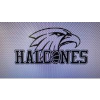 Halcones