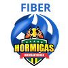 FiberHormigasWomen